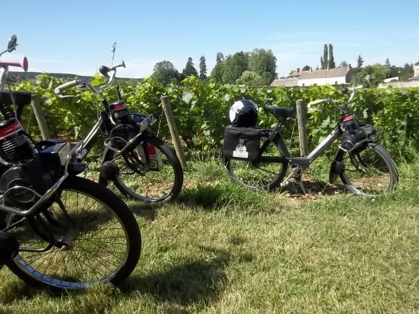 solex a beaune