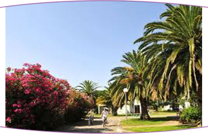 Vacances entre celibataires tunisie