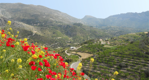 ALICANTE ESPAGNE